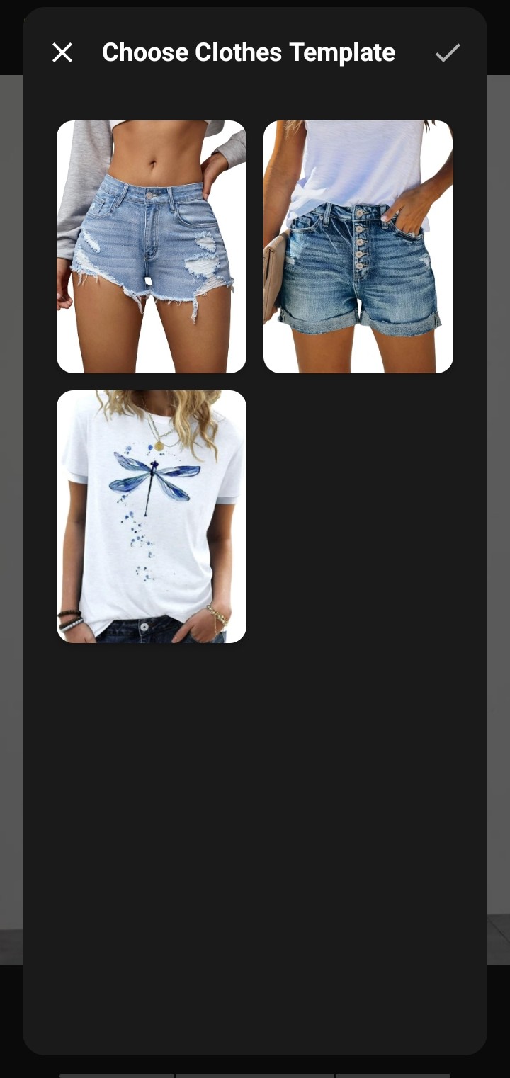 Diverse Clothing Templates